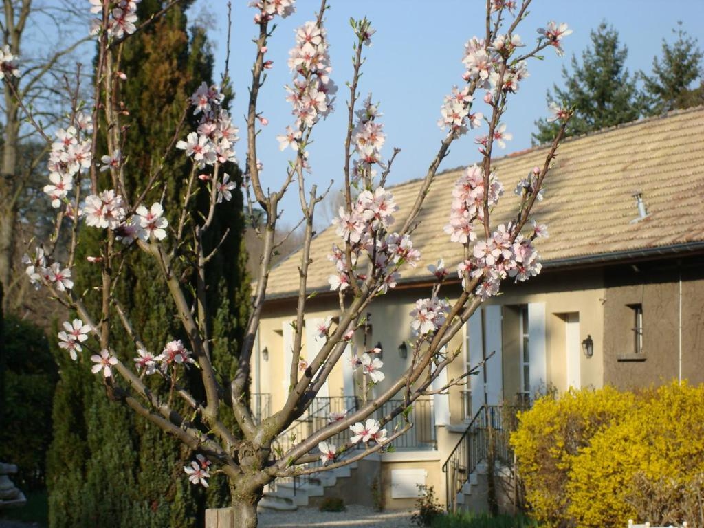 Les Communs Du Manoir Appartement Écully Buitenkant foto