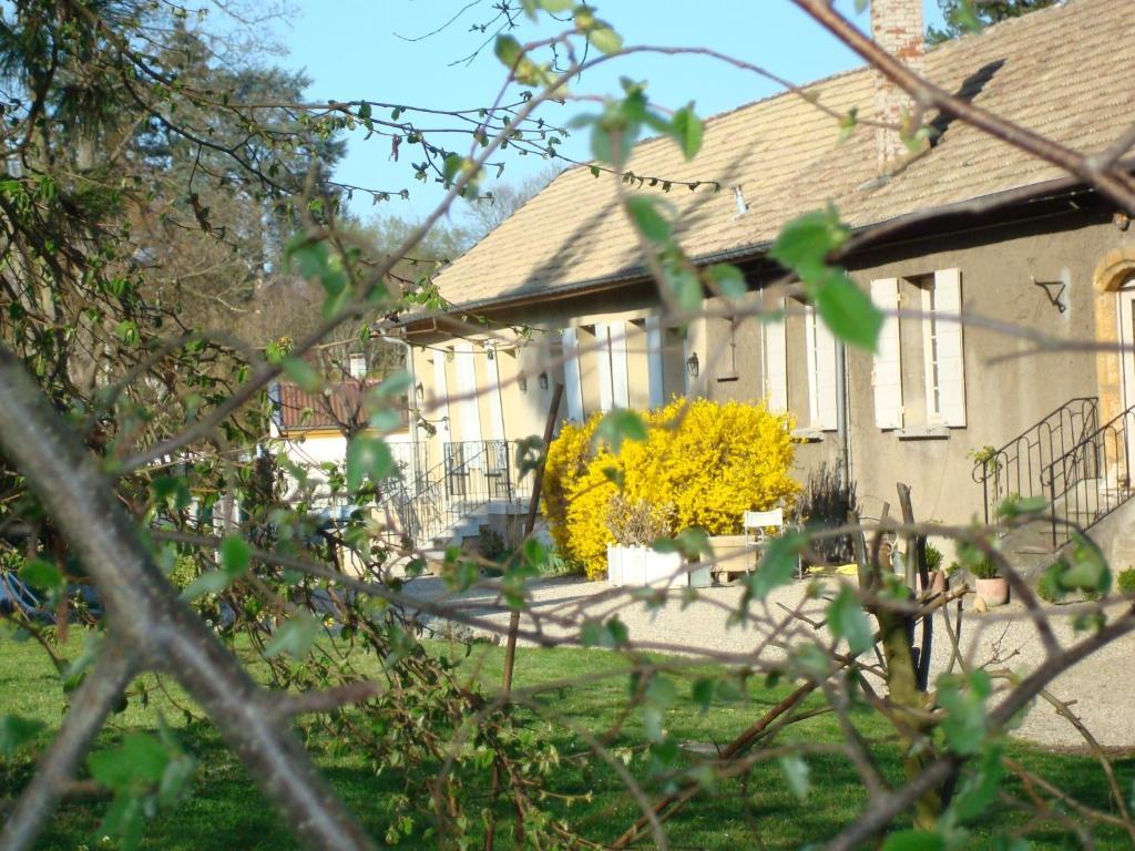 Les Communs Du Manoir Appartement Écully Buitenkant foto