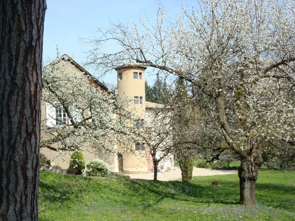 Les Communs Du Manoir Appartement Écully Buitenkant foto