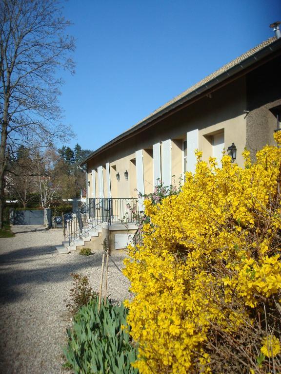 Les Communs Du Manoir Appartement Écully Buitenkant foto