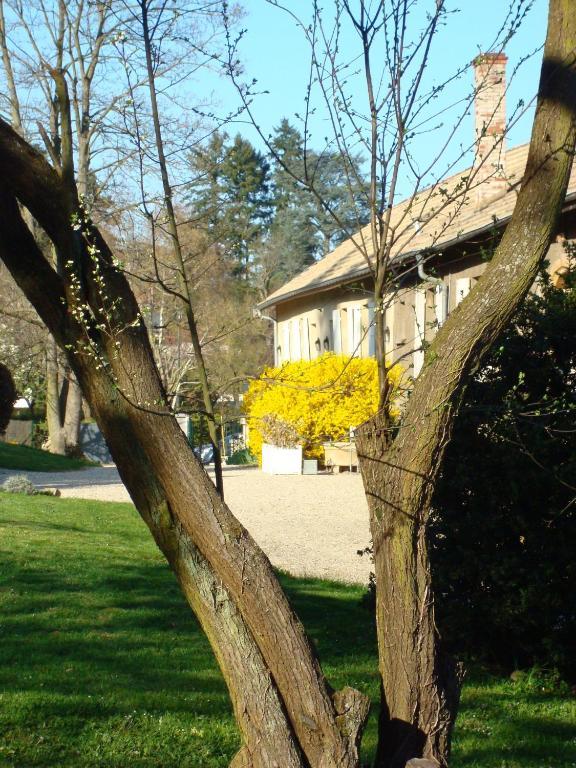Les Communs Du Manoir Appartement Écully Buitenkant foto